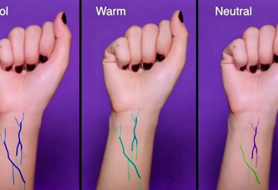 Cách Xác Định Tone Da Chuẩn Xác & Ứng Dụng Chọn Màu Nail – Son – Tóc Phù Hợp